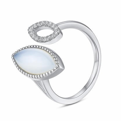 Anillo