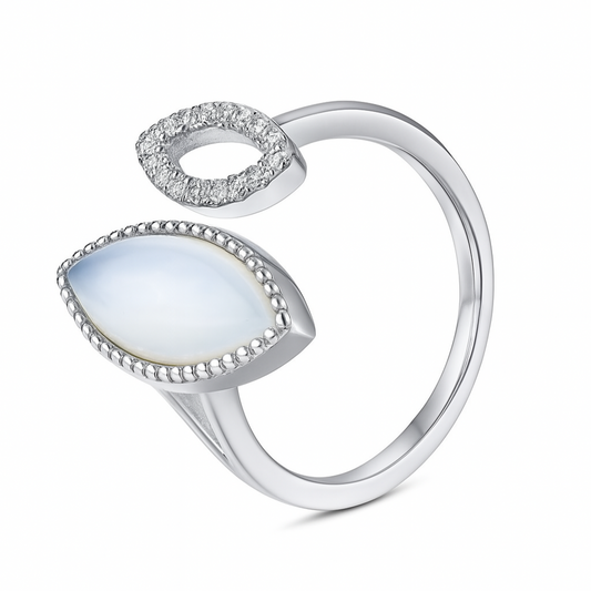 Anillo