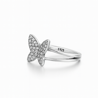 Anillo